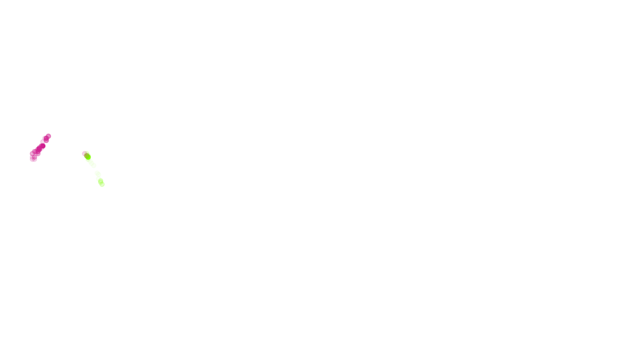 layer