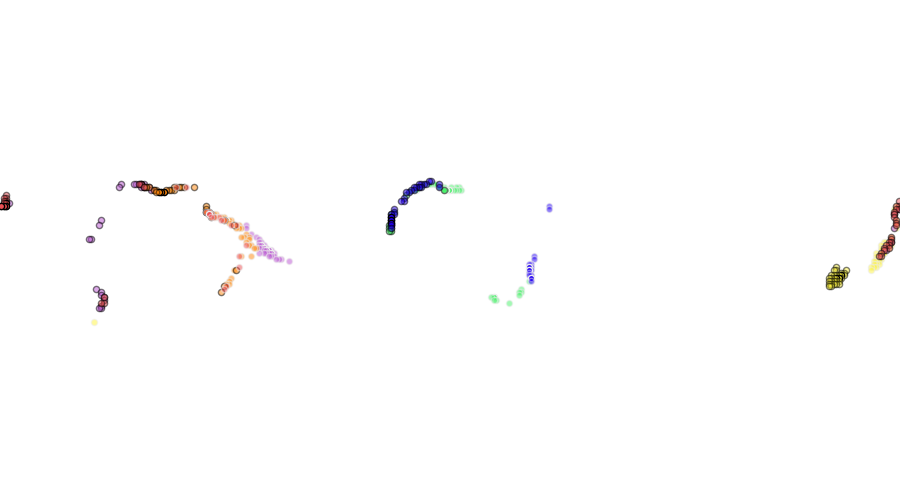 layer