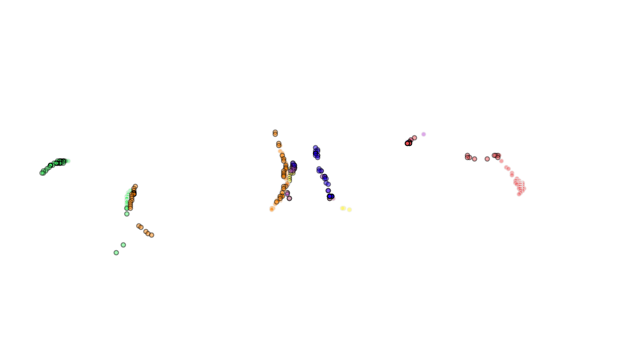 layer