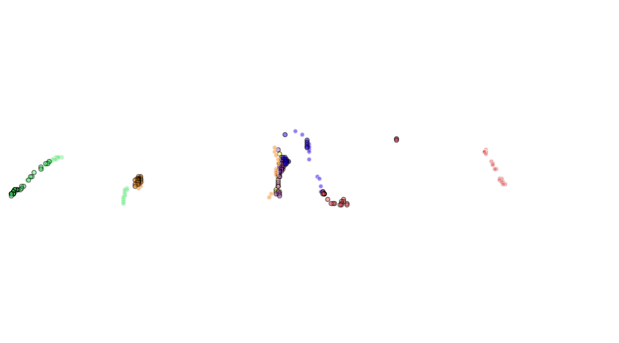 layer