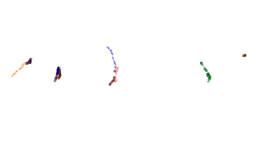 layer