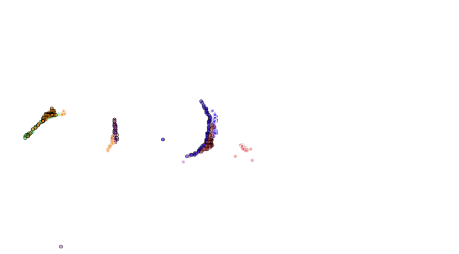 layer
