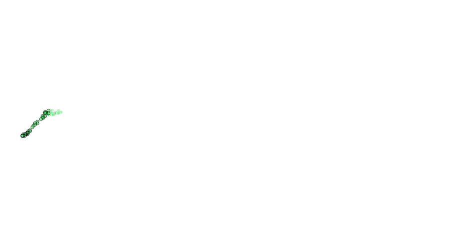 layer