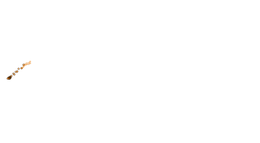 layer