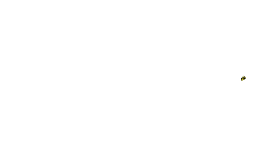 layer