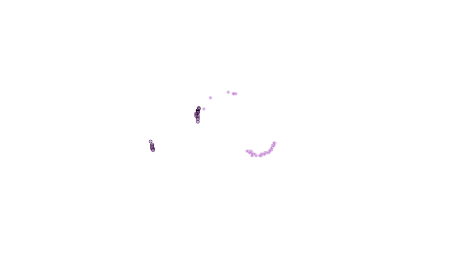 layer