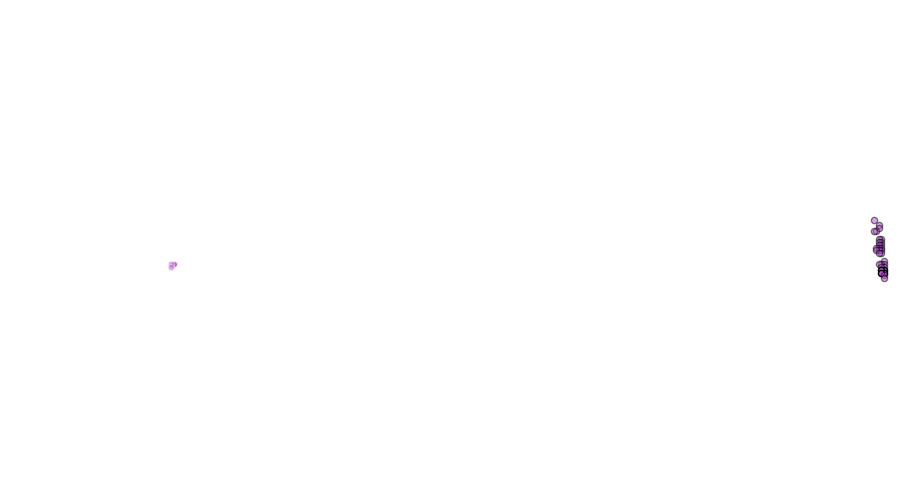 layer