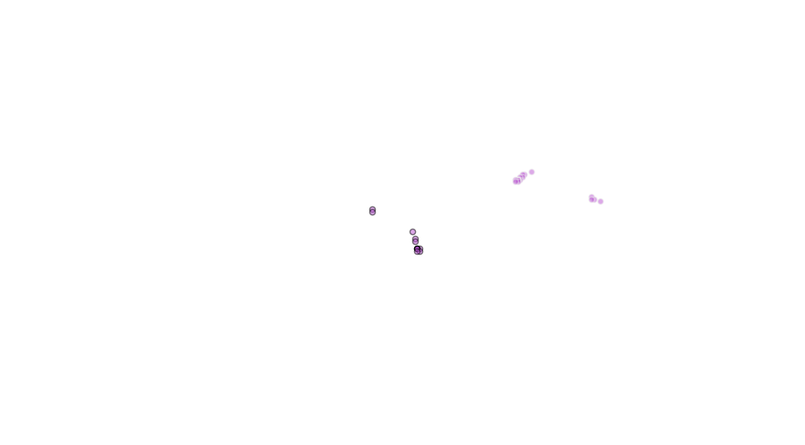 layer