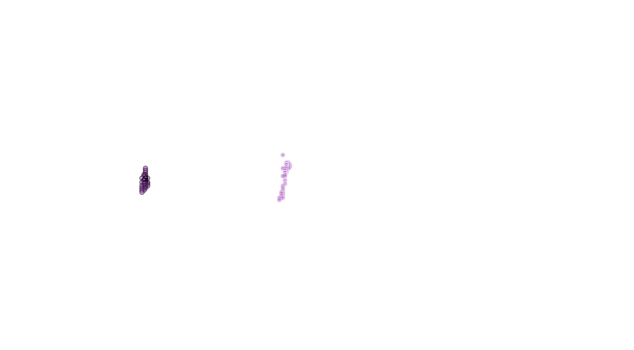 layer