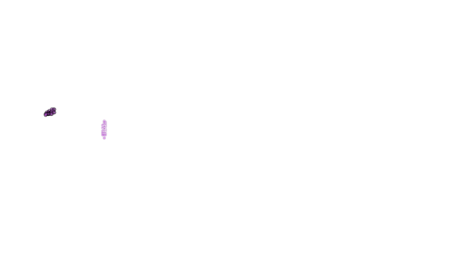 layer