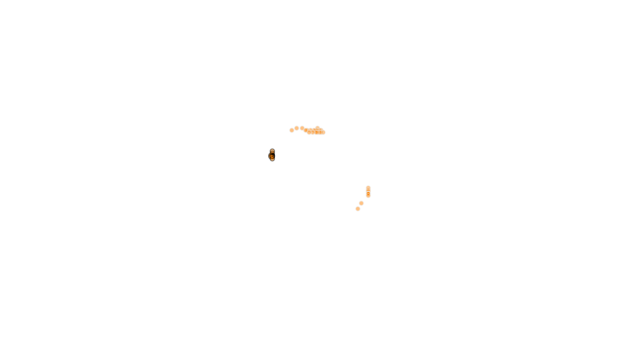 layer