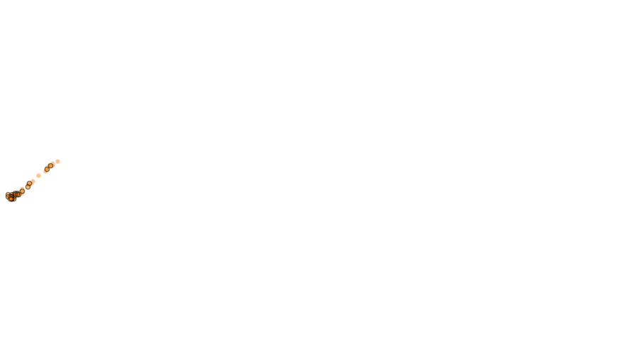layer