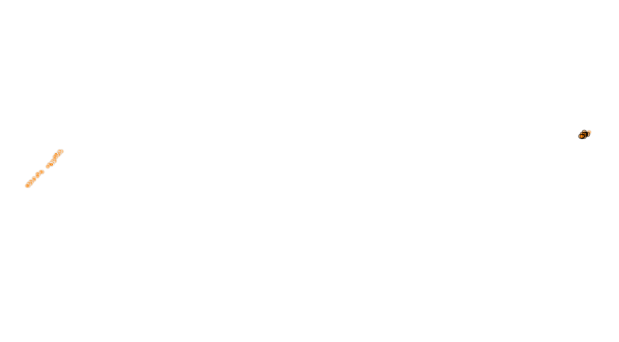 layer